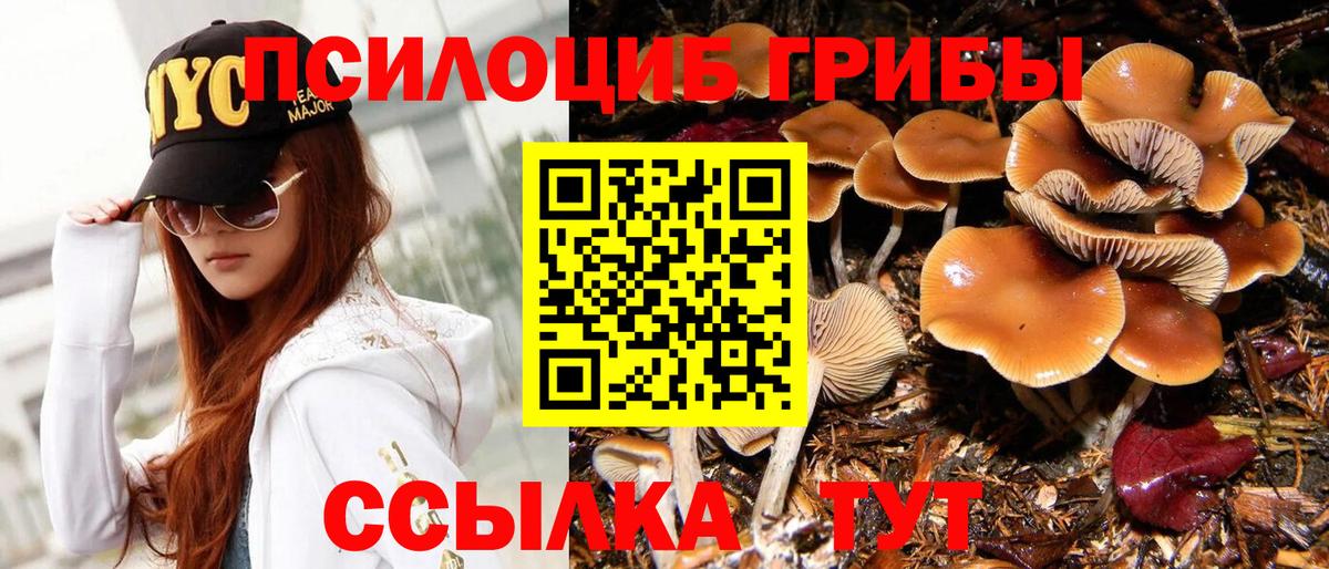 Псилоцибиновые грибы GOLDEN TEACHER  Галлюциногенные грибы MAGIC MUSHROOMS  Вход с VPN  Ленинск-Кузнецкий 