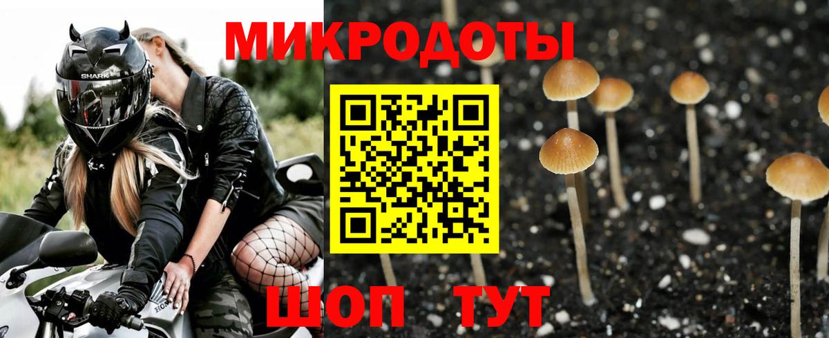 Галлюциногенные грибы GOLDEN TEACHER Ленинск-Кузнецкий